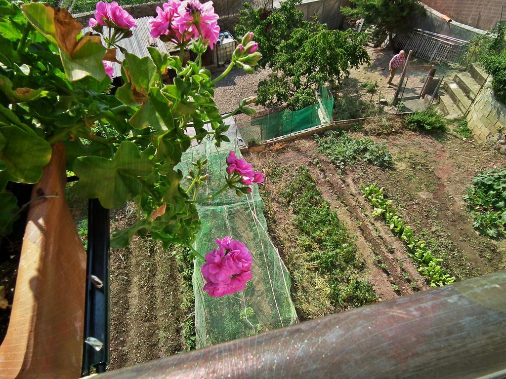 Casa Catharina Bed & Breakfast La Seu d'Urgell Exterior photo